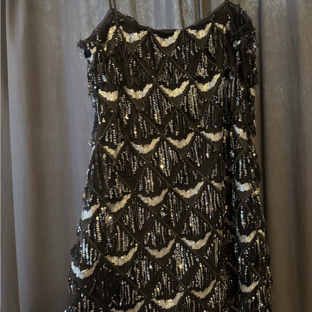 Showpo Black Dress with Silver flapper dress